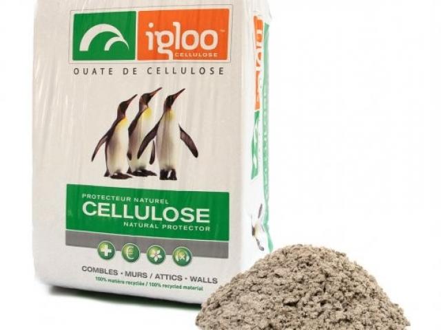 Ouate de cellulose 